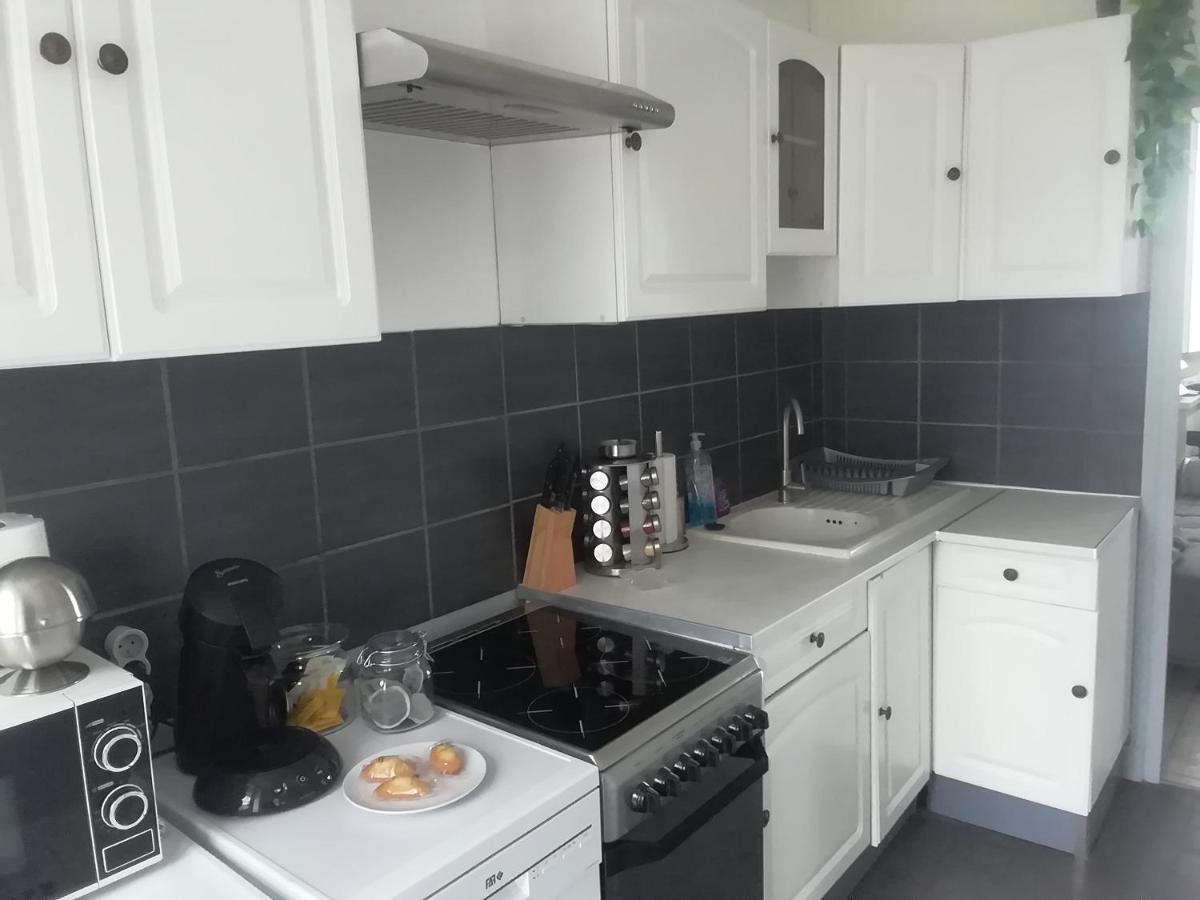 Pegase Meuble 3*** Apartment Fourchambault